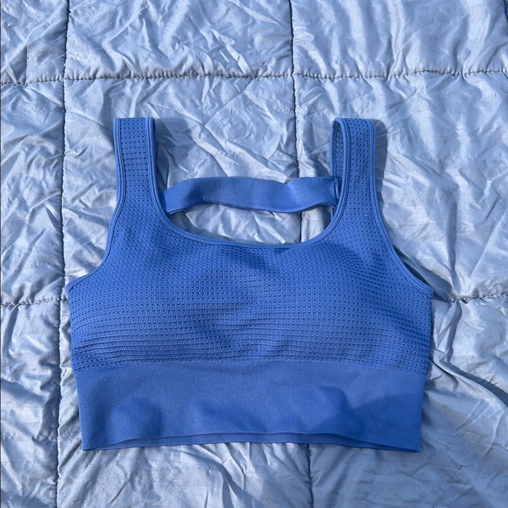 Yogalicious Periwinkle Sports Bra